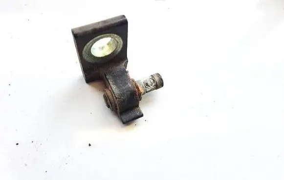 Skoda Yeti (5L) Rear door lower hinge