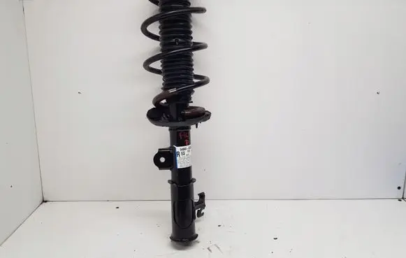 KIA Picanto Front shock absorber/damper 54660G6200