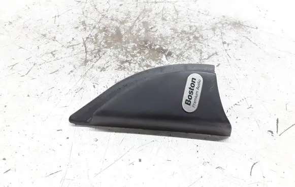 Other front door trim element
