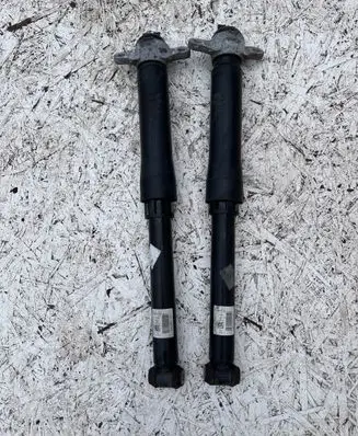 Ford Kuga III Rear shock absorber with coil spring 