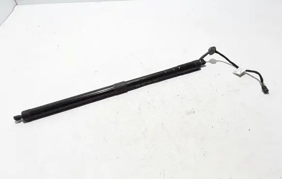 Tailgate strut