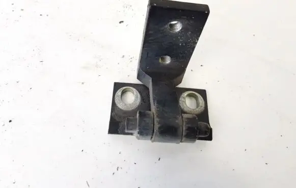 Rear door lower hinge