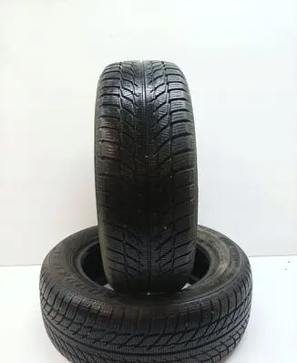 Renault Scenic I R15 winter tire 