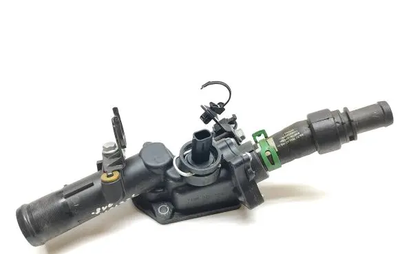 Thermostat/thermostat housing