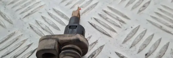 Nissan Terrano Front door sensor 