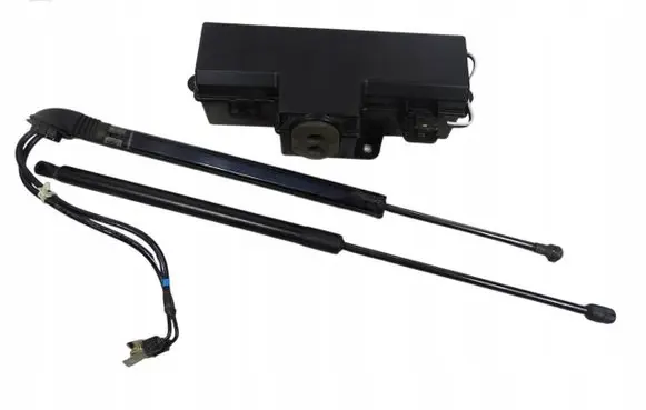 Opel Insignia A Tailgate/trunk strut/damper 315005777