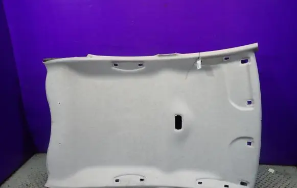 Citroen C3 Headlining 