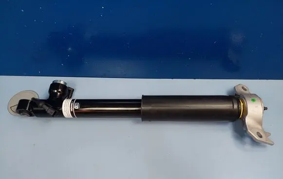 Opel Insignia A Rear shock absorber/damper 436854 22834094 A436854