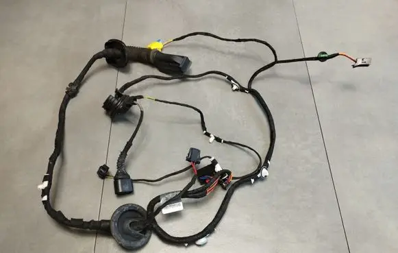 Front door wiring loom