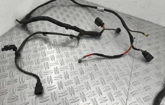 Other wiring loom