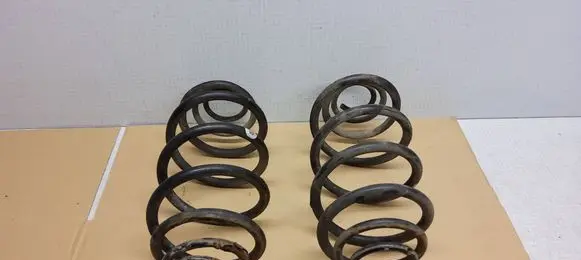 Rear coil spring