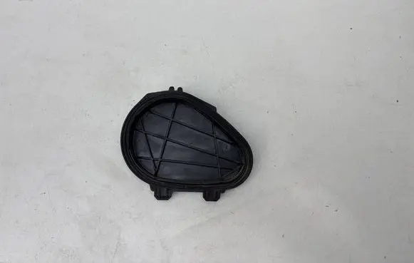 Headlight/headlamp dust cover