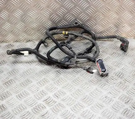 Tesla Model 3 Other wiring loom 106876901D