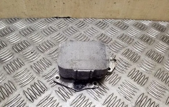 Citroen DS4 Oil filter mounting bracket