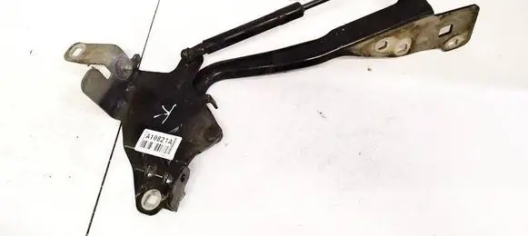 Renault Scenic III - Grand scenic III Engine bonnet/hood hinges 654010004R