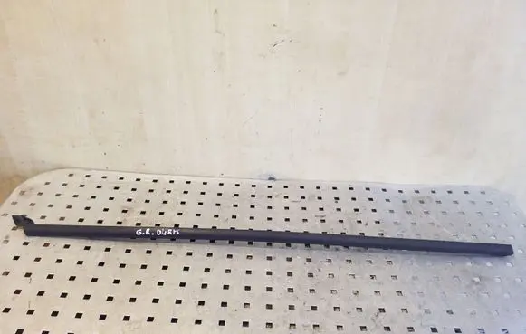 Rear door glass trim molding