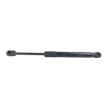 Ford Mustang V Tailgate/trunk strut/damper AR3363406A10AA