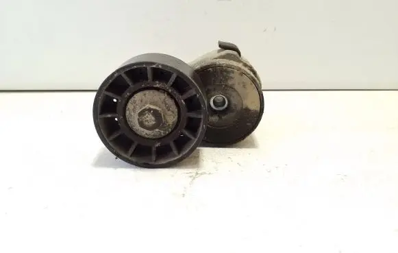 Fiat Ducato Generator/alternator belt tensioner