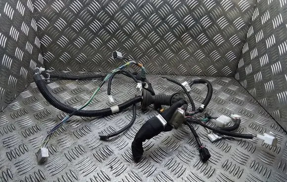 Lexus IS 220D-250-350 Front door wiring loom 8215253150