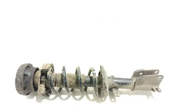 Front shock absorber with coil spring