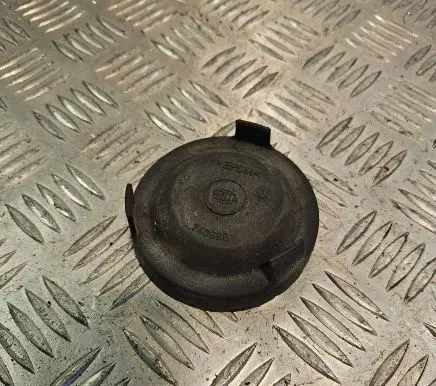 Headlight/headlamp dust cover