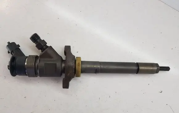 Citroen C3 Picasso Fuel injector 0445110311