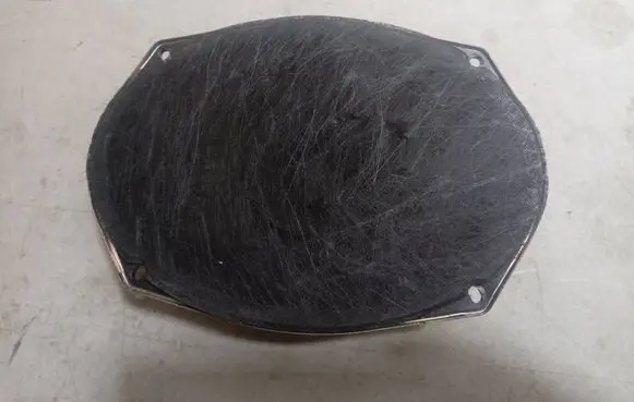 Chrysler Town & Country V Front door speaker 05091019AB