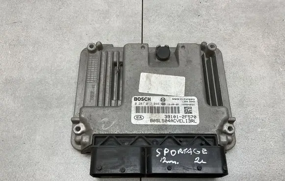 KIA Sportage Engine control unit/module 391012F570