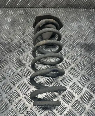 Rear coil spring