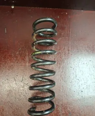 Rear coil spring