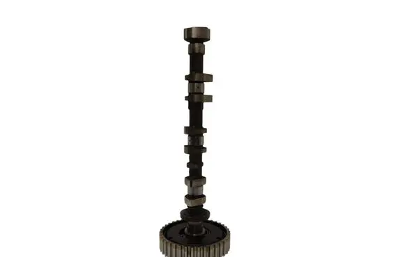 Ford Focus Camshaft CM5G6C524DC 6A266 13201114056