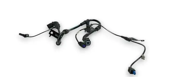 KIA EV6 Rear ABS sensor wiring 59796CV200 51961