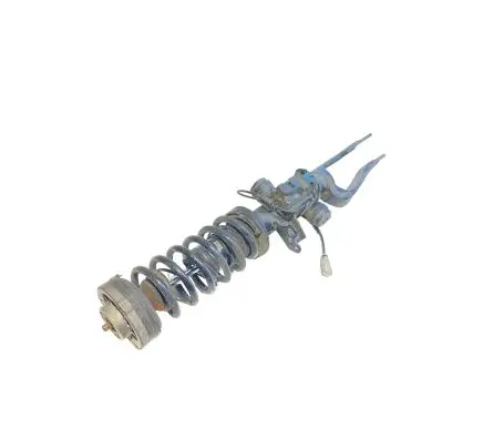 Front shock absorber with coil spring