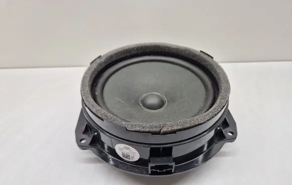 Rear door speaker