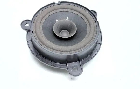 Renault Zoe Rear door speaker
