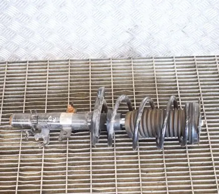 Nissan Qashqai Front shock absorber/damper 54302HV01A 1A19256A