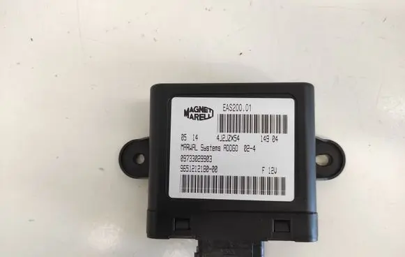 Peugeot 307 Other control units/modules 09733029903 965121218000