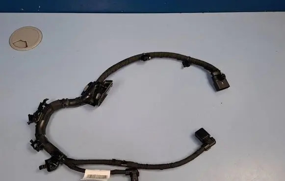 Other wiring loom