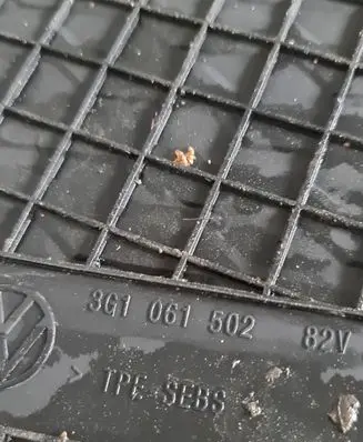 Volkswagen PASSAT B8 Car floor mat set 3G1061502 3G0061512