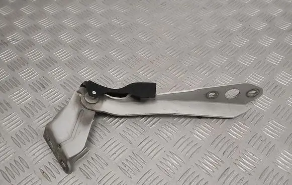 Renault Master III Engine bonnet/hood hinges 654010006R