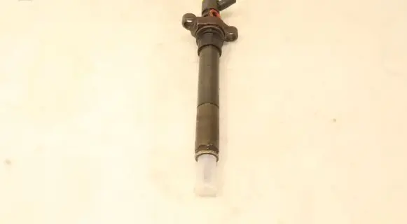 Citroen C5 Fuel injector 9688438580