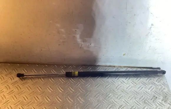 Front bonnet/hood damper/strut