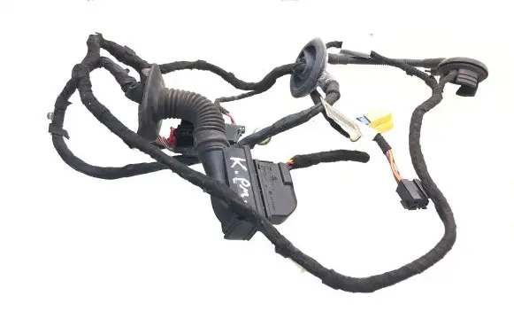 Audi Q5 SQ5 Front door wiring loom 8R0971029B