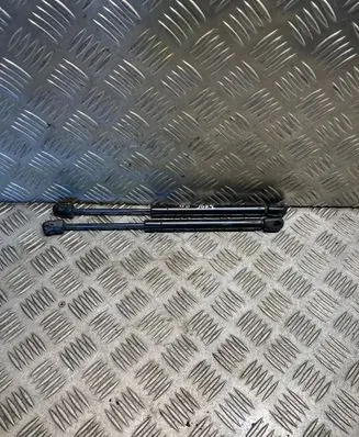 Chrysler 300 - 300C Front bonnet/hood damper/strut 04589606AA
