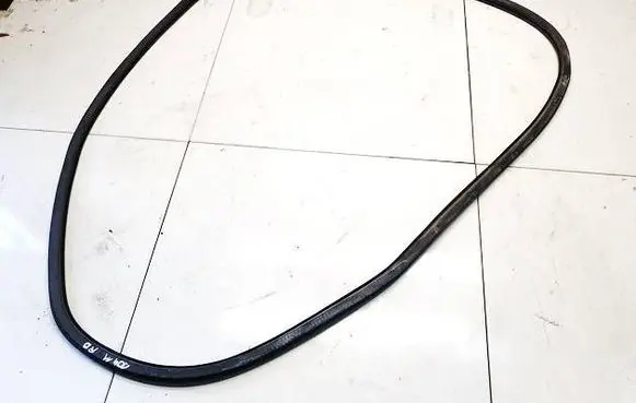 Seat Exeo (3R) Rubber seal front coupe door 