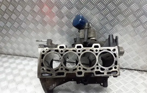 Dacia Logan I Engine block 091209K9K792