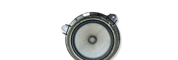 Toyota RAV 4 (XA30) Front door speaker 