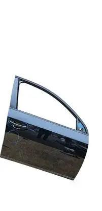 Volkswagen PASSAT B7 Front door 