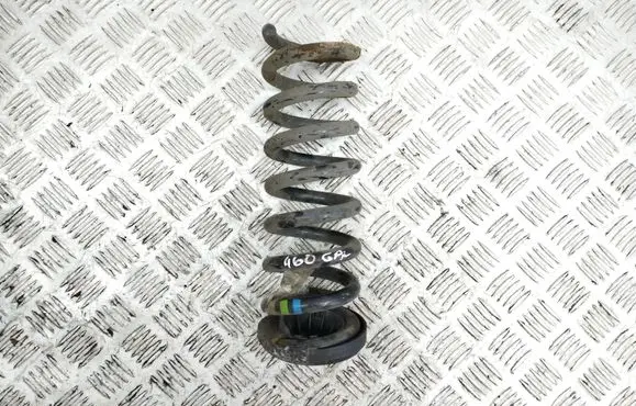 Rear coil spring