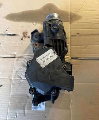 Renault Trafic III (X82) Throttle valve H8201374868